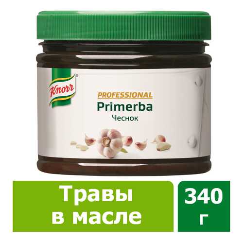 Приправа в растительном масле Knorr Primerba чеснок 340 г в Перекресток